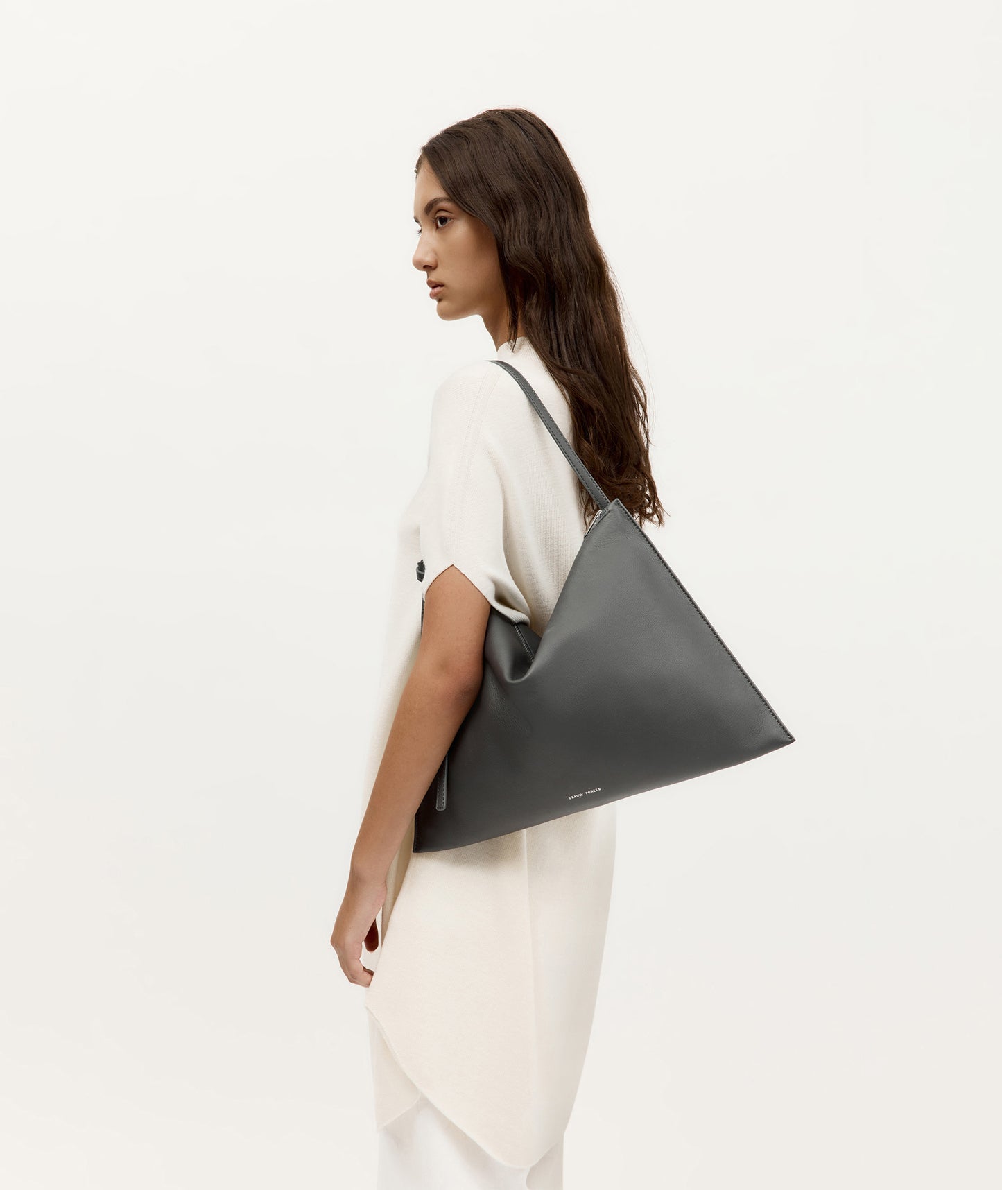 Mr Chopalopagus Flint/Silver