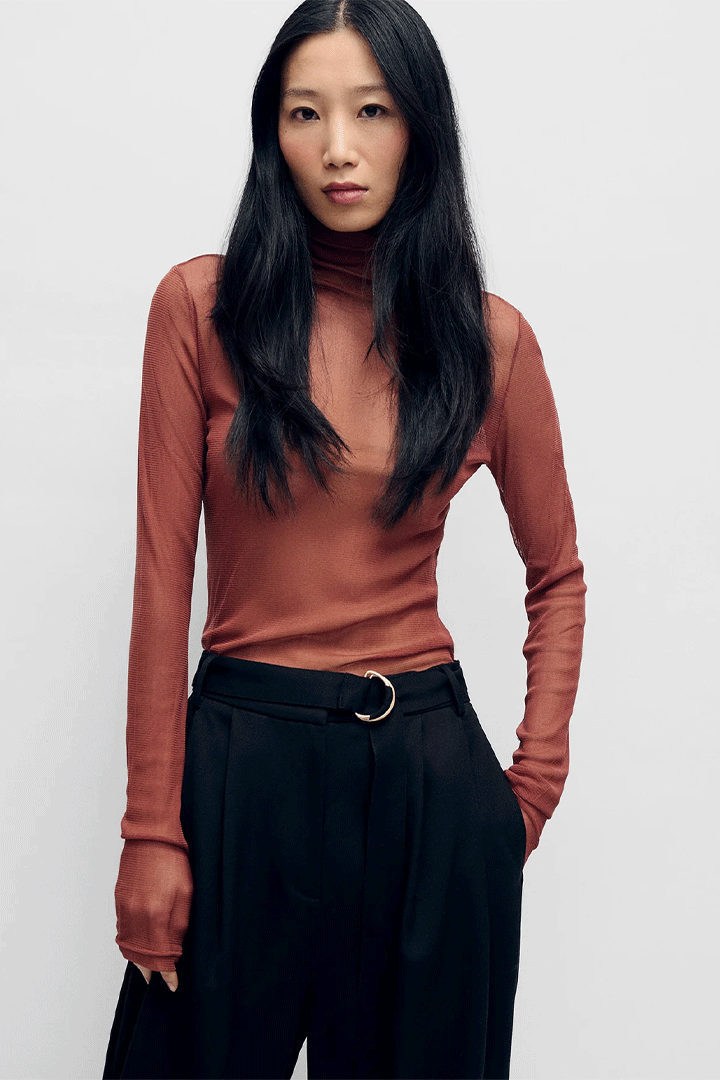 Mesh Turtleneck Canyon