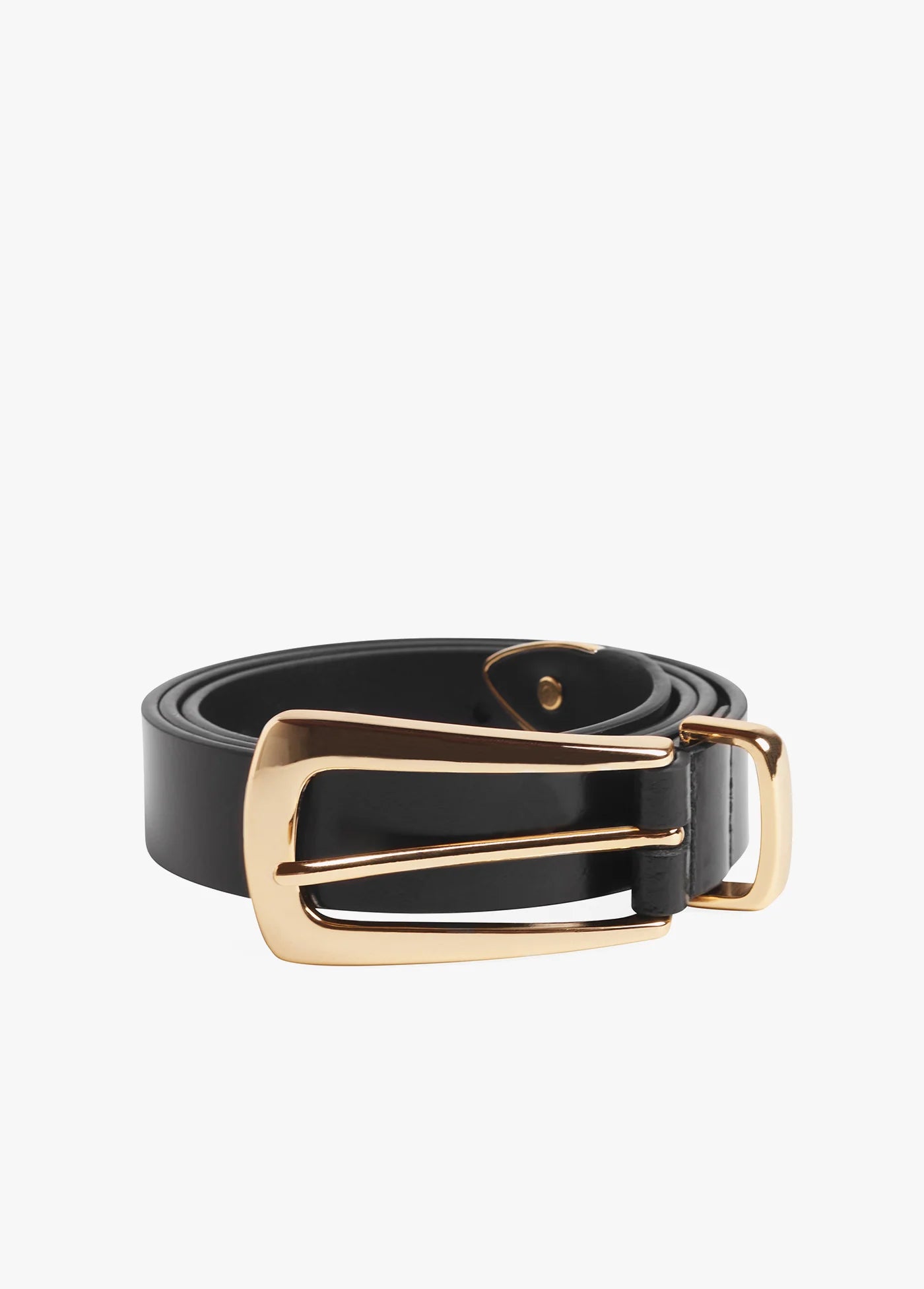 The Statement Belt - Black/Gold