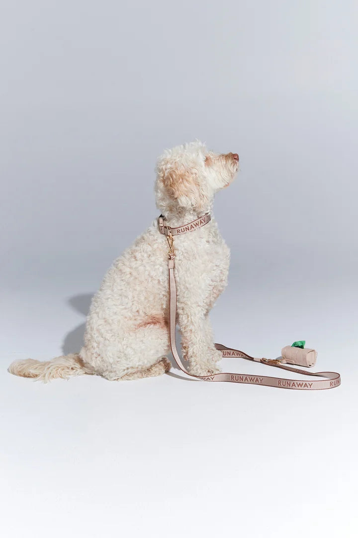 Runaway Woven Dog Leash & Bag Holder