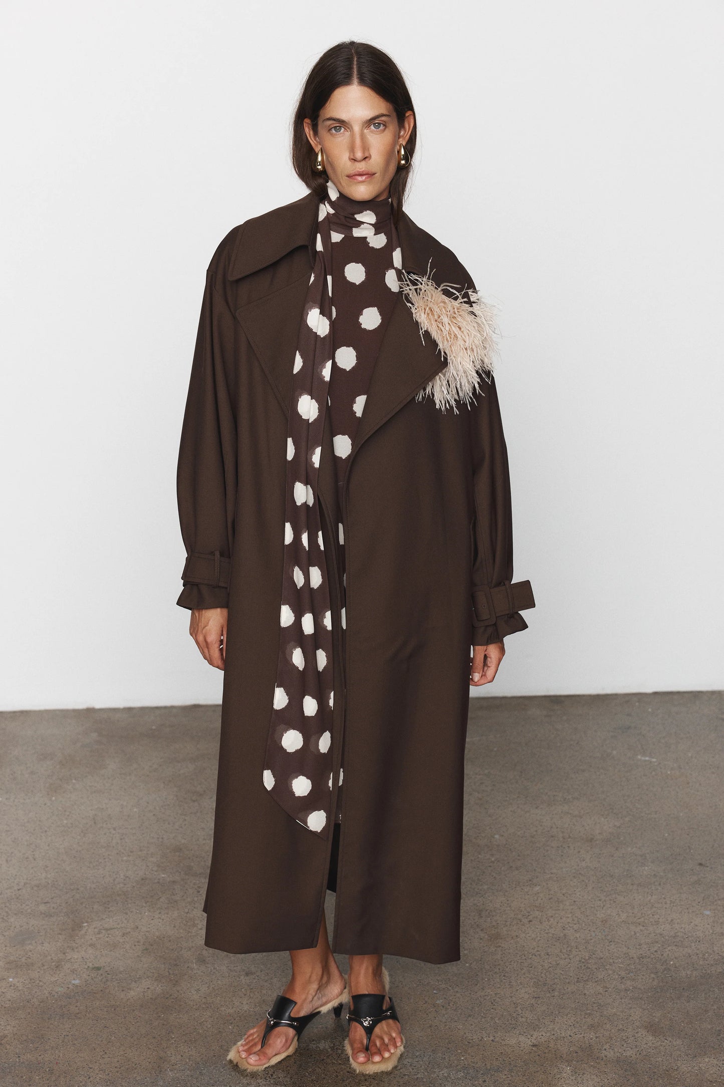 Anne Trench Brown
