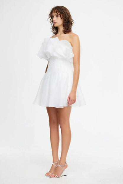 Clements Mini Dress