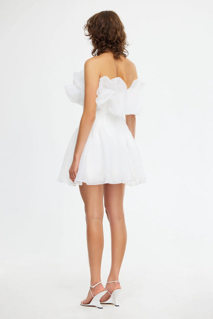 Clements Mini Dress