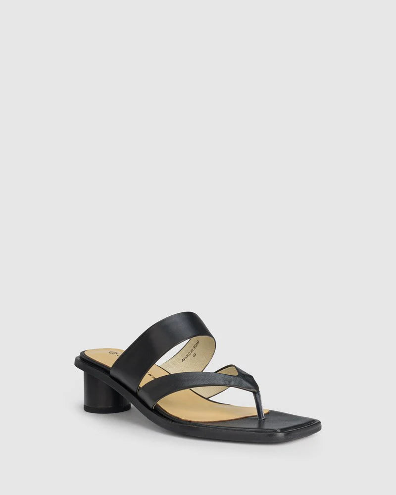 Nexus Heel