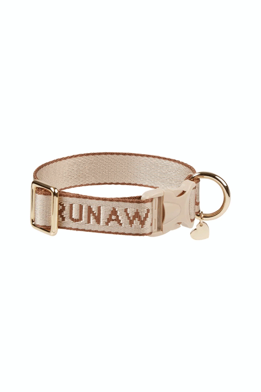 Runaway Woven Dog Collar