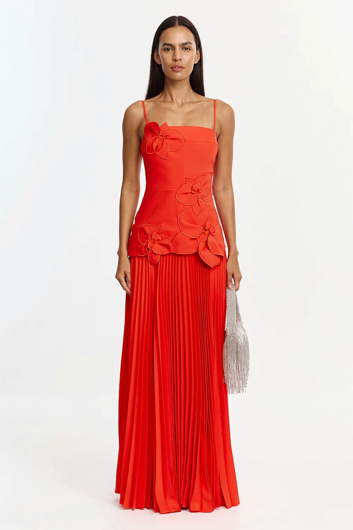 Avision Dress Chilli
