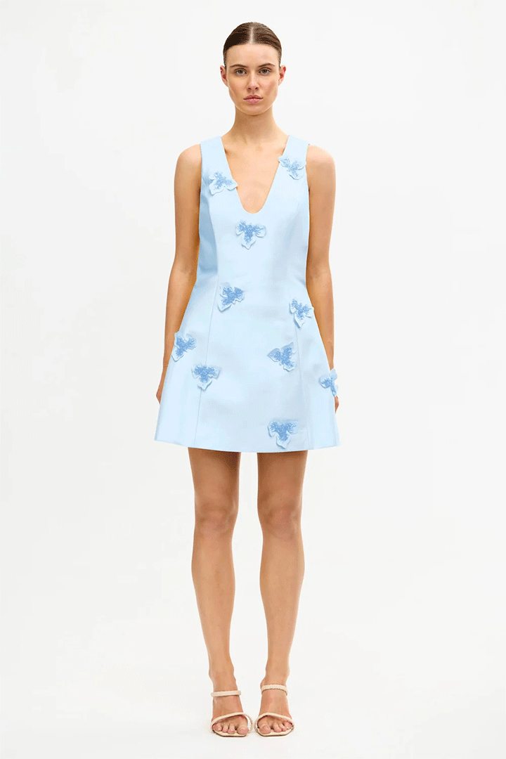 Blairhall Mini Dress Powder Blue