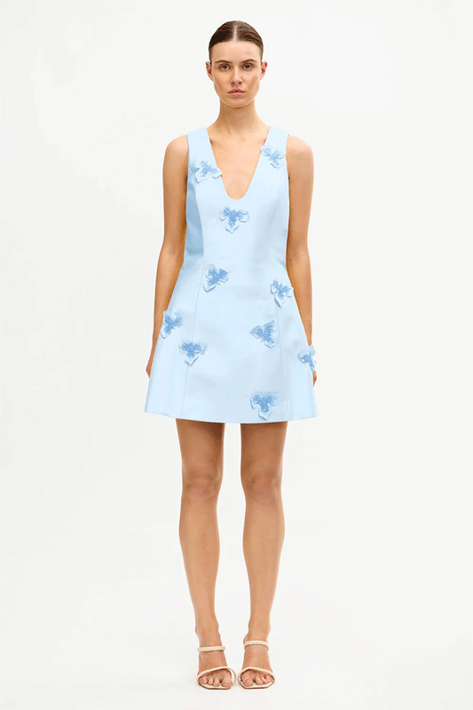 Blairhall Mini Dress Powder Blue