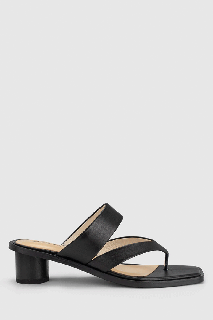 Nexus Heel