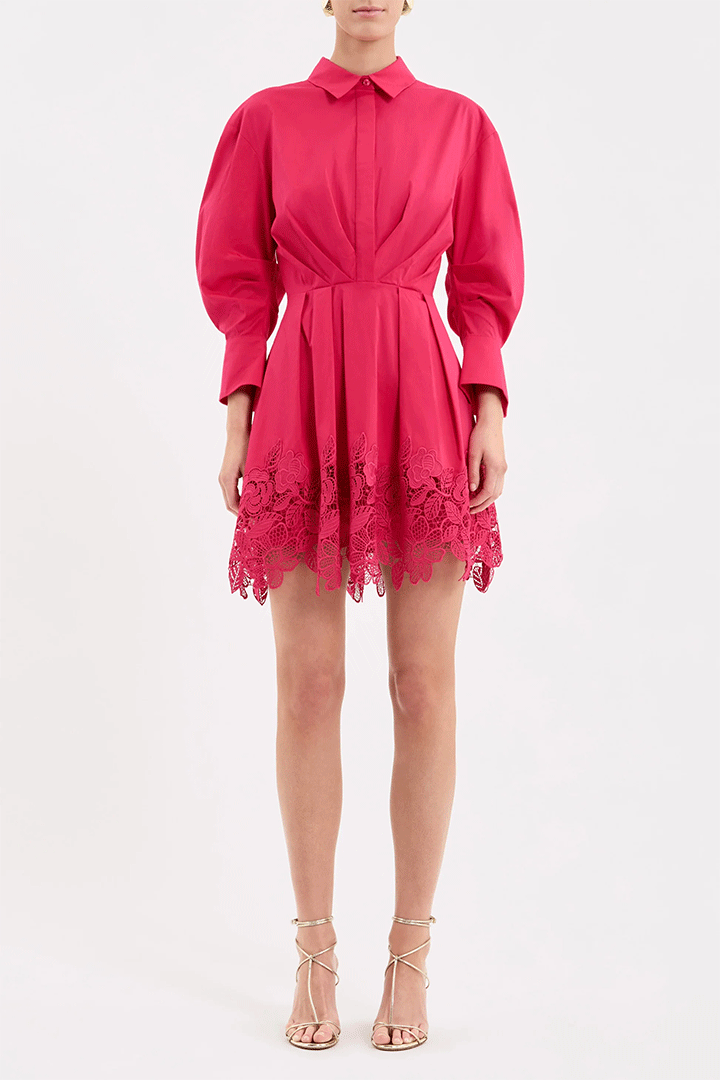 Claribelle Long Sleeve Mini Dress