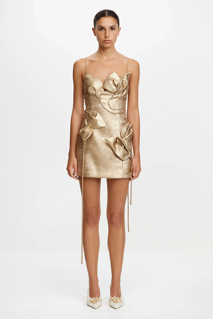Hillsome Mini Dress
