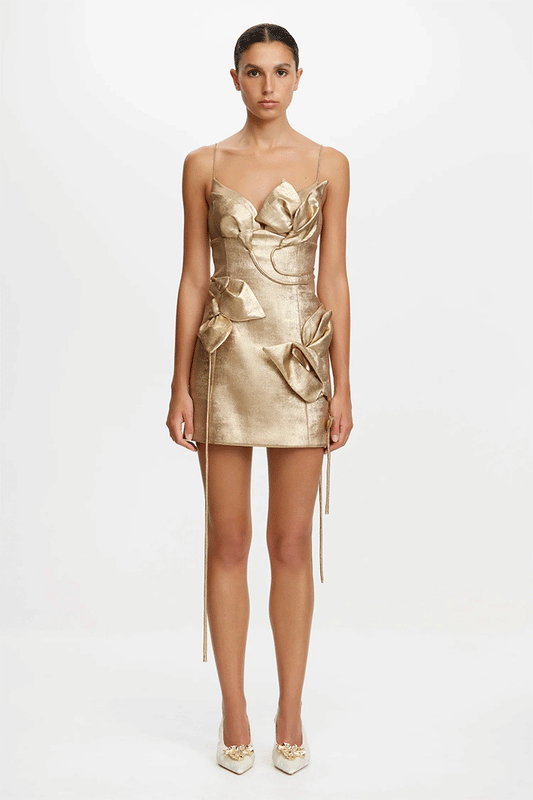 Hillsome Mini Dress